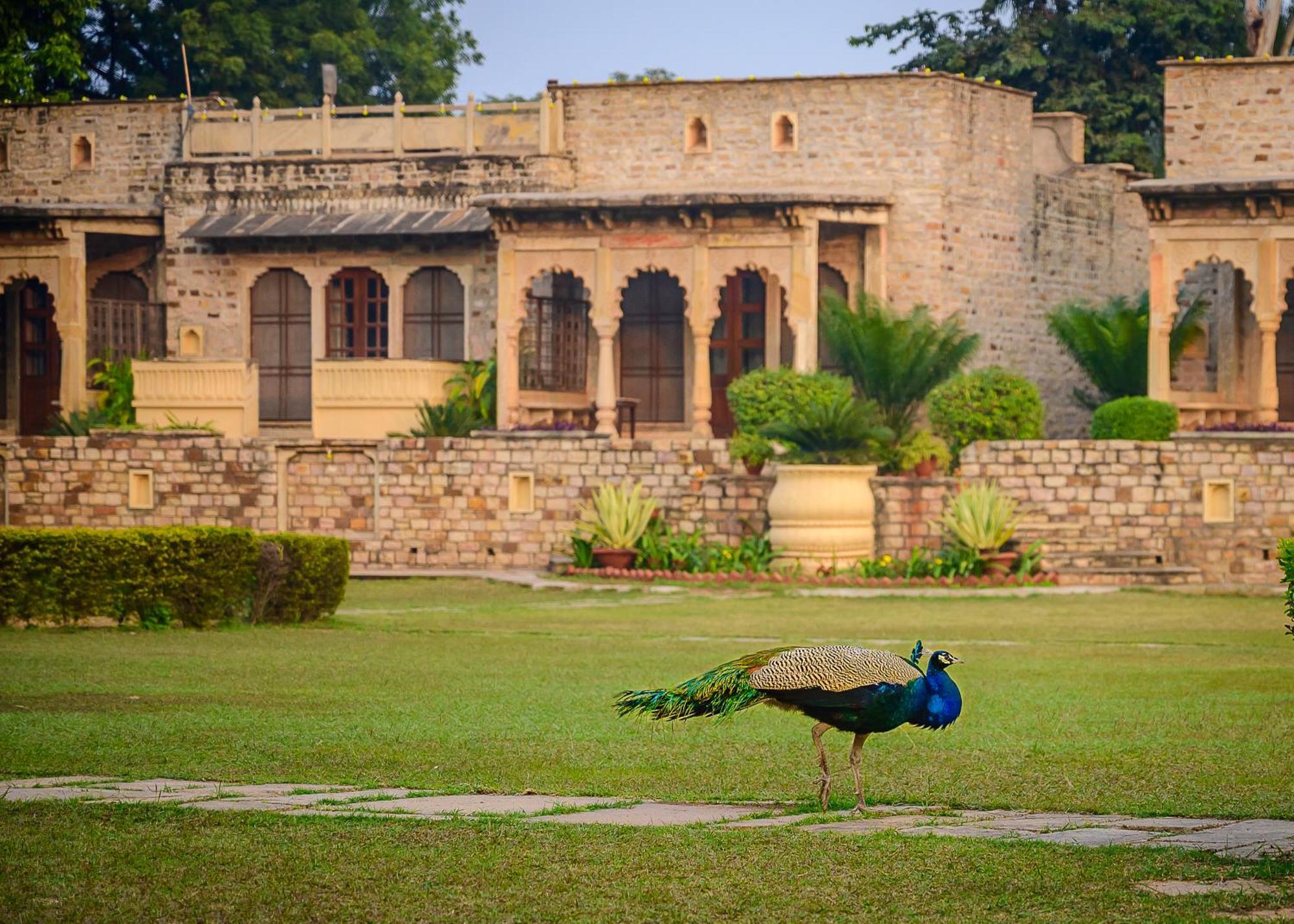 Neemrana'S - Deo Bagh Hotel กวาลิออร์ ภายนอก รูปภาพ